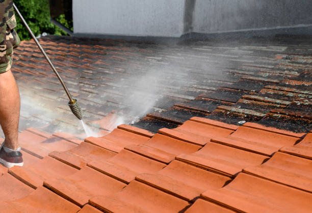 Best Exterior Home Cleaning  in Owenton, KY
